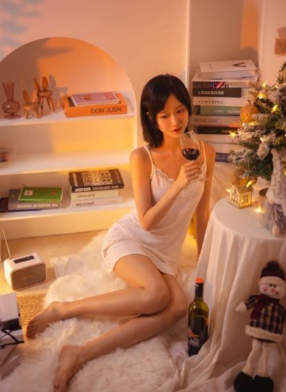 甄子丹 锦衣卫