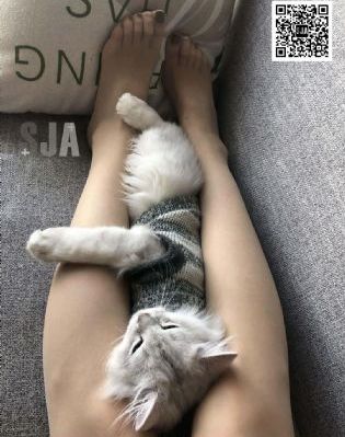 灾难片大全电影免费观看