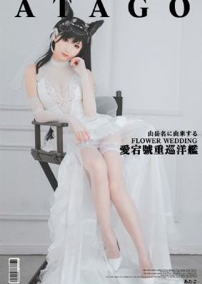血战丛林免费观看完整版电视剧